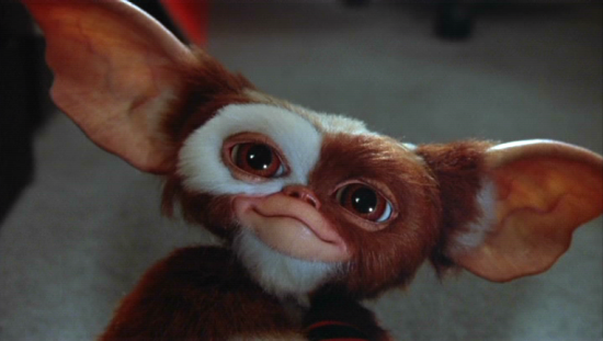 Gremlins - Gizmo