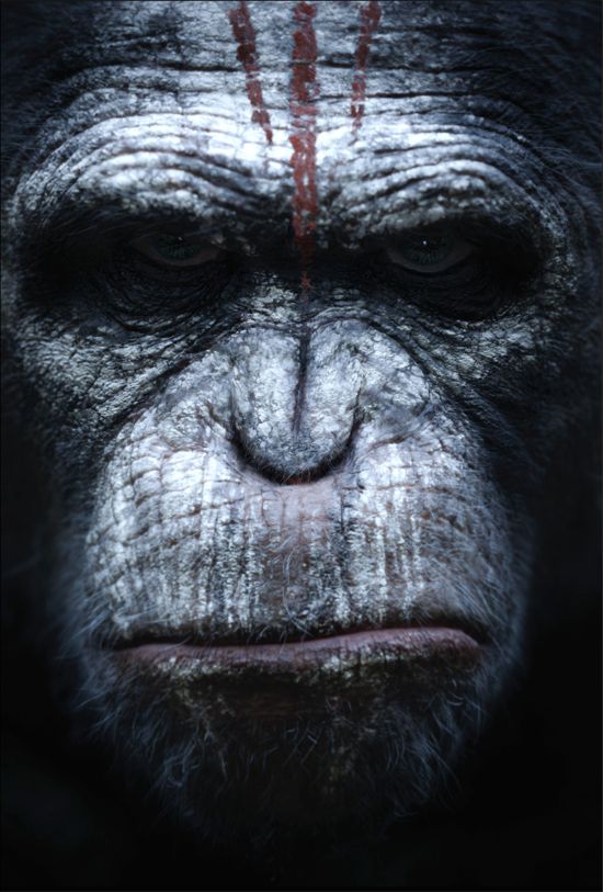 Dawn of the Planet of the Apes Poster