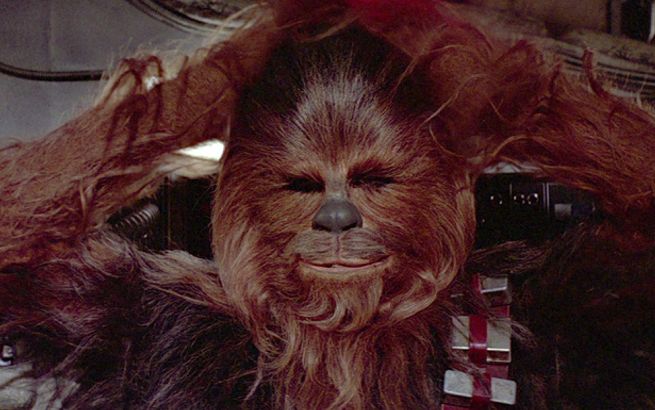 chewbacca-peter-mayhew